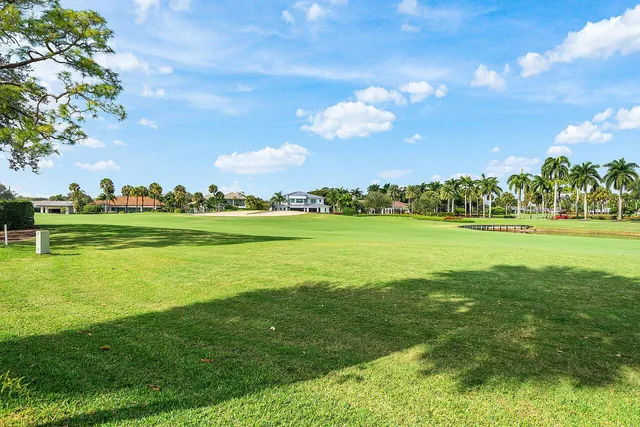 a view of a garden with lawn chairs and large trees