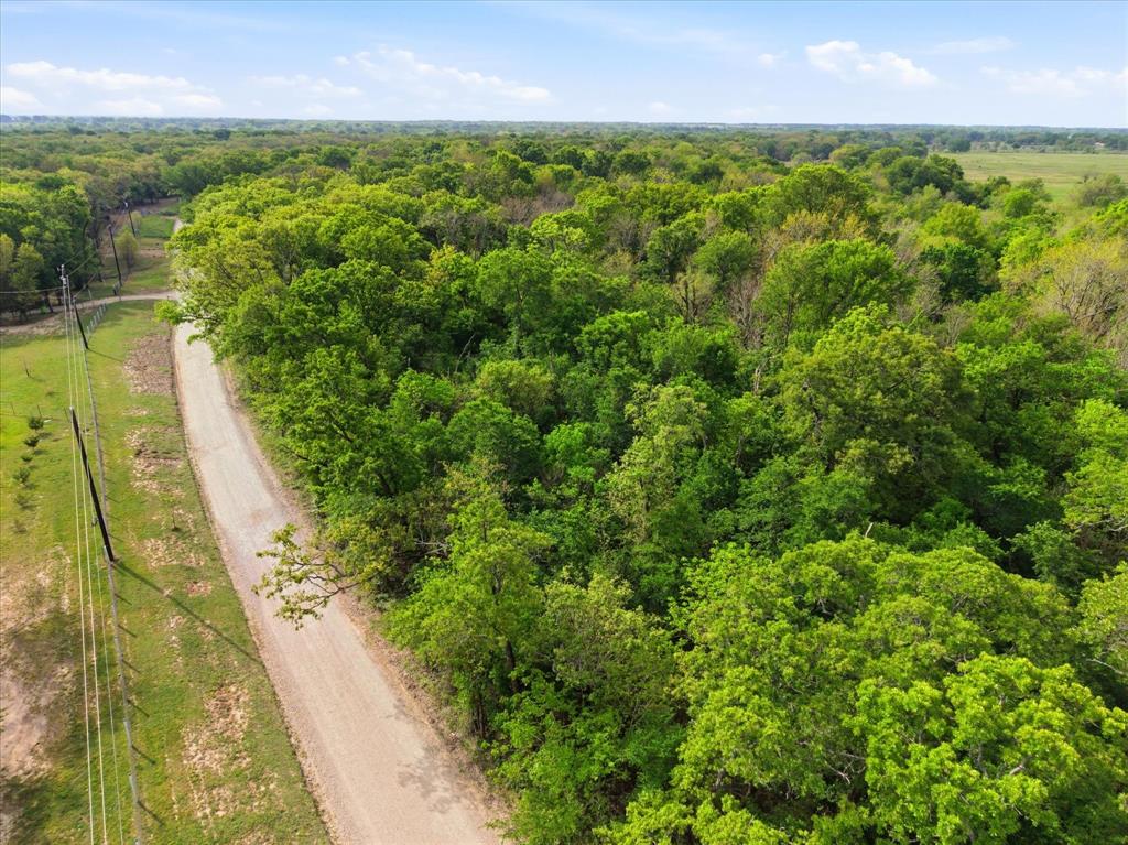 637 County Road 3437 Wills Point, TX 75169 - Photo 6 of 13