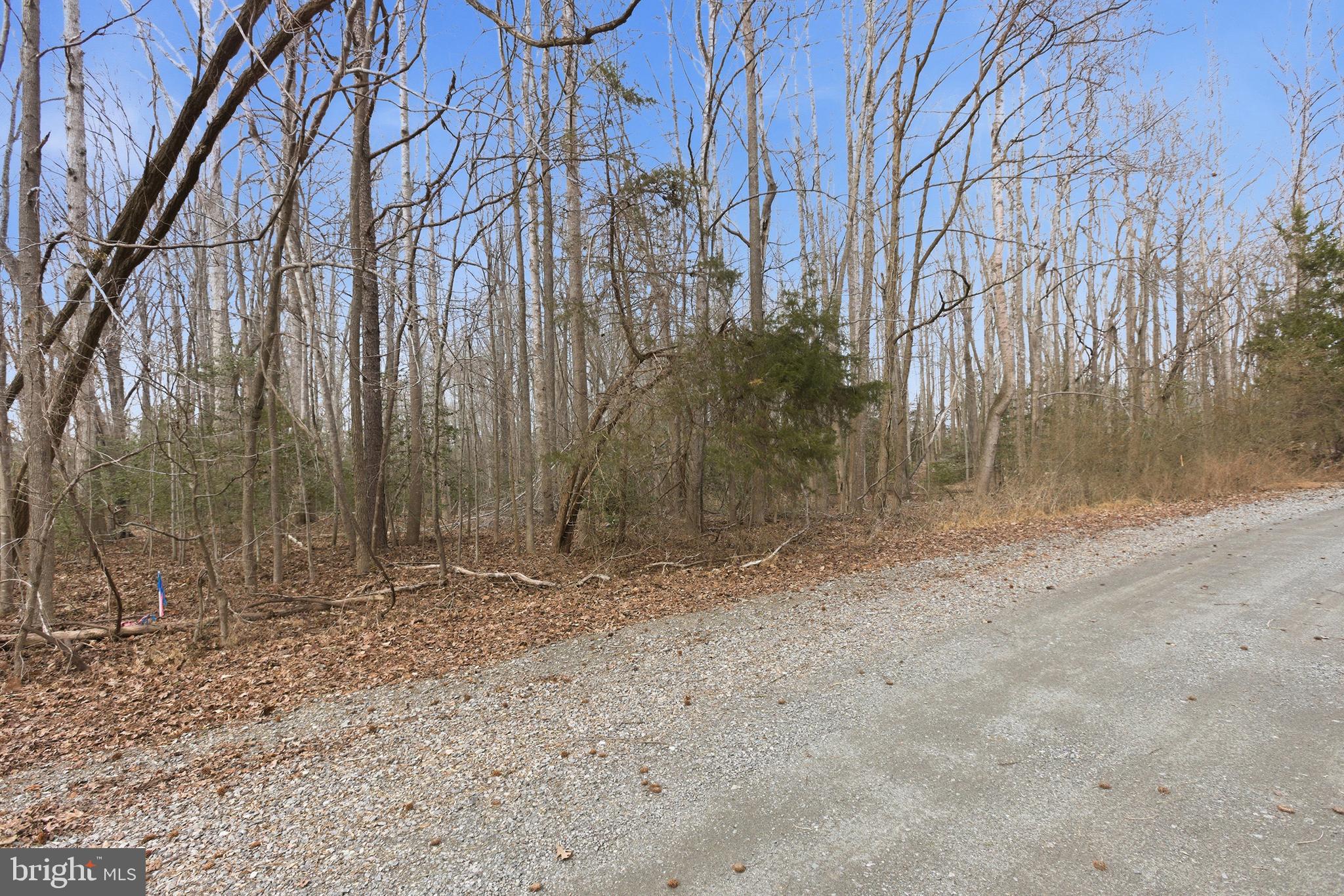 Lot 18 Old Prospect Landing Road Montross, VA 22520 - Photo 6 of 7 a backyard of a house with lots of green space