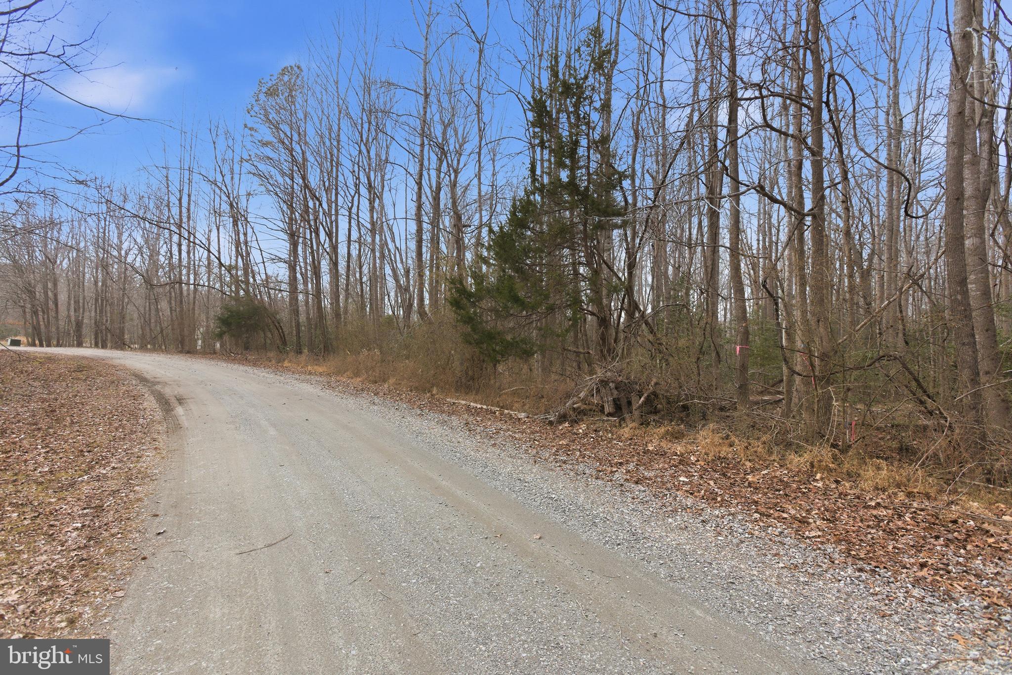 Lot 18 Old Prospect Landing Road Montross, VA 22520 - Photo 7 of 7 a backyard of a house with lots of green space