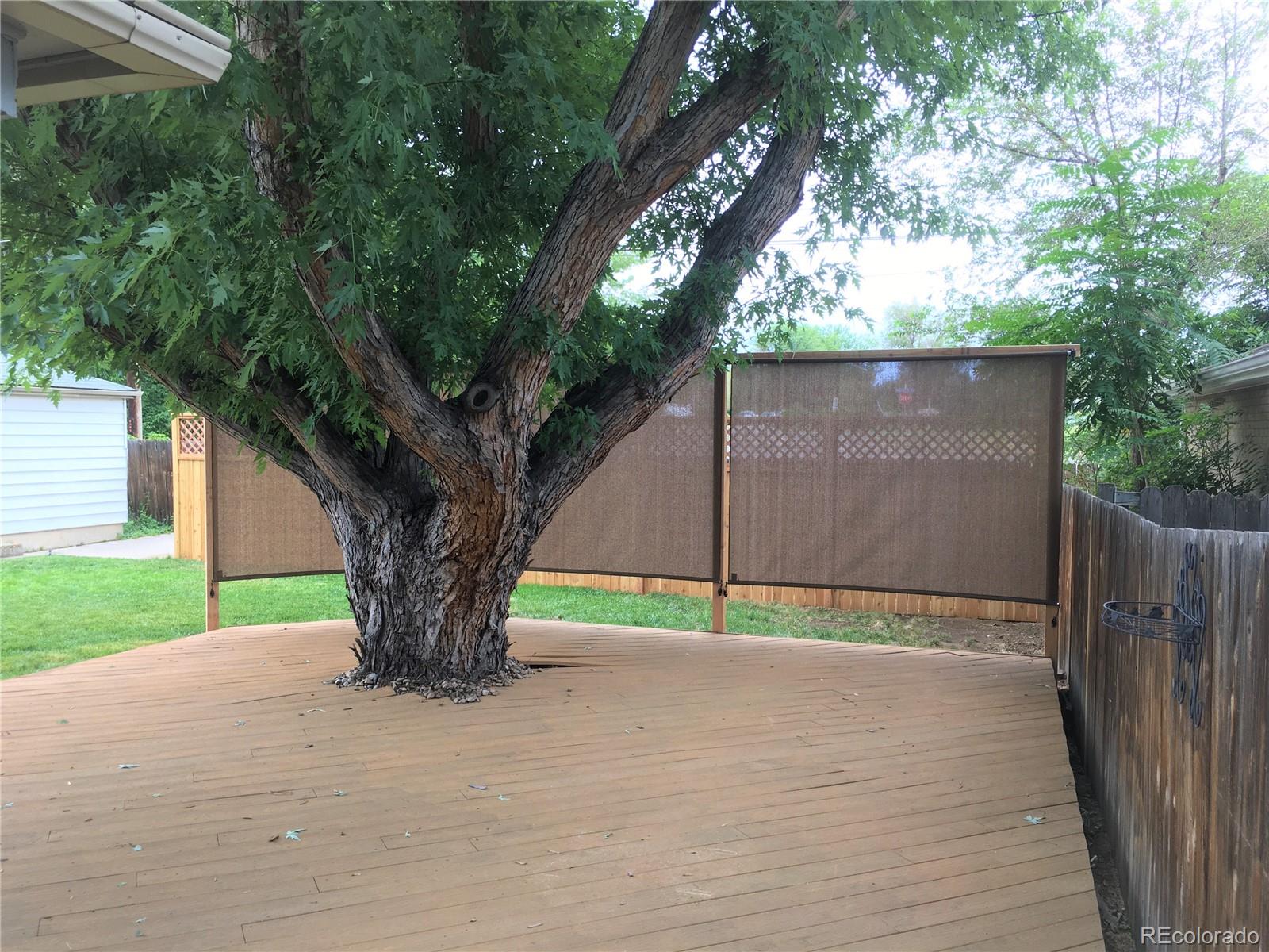 4675 Webster Street Wheat Ridge, CO 80033 - Photo 27 of 28