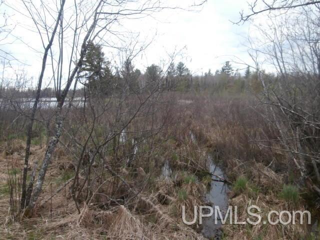 39.30-ac Armstrong Lake Road Crystal Falls, MI 49920 - Photo 11 of 24
