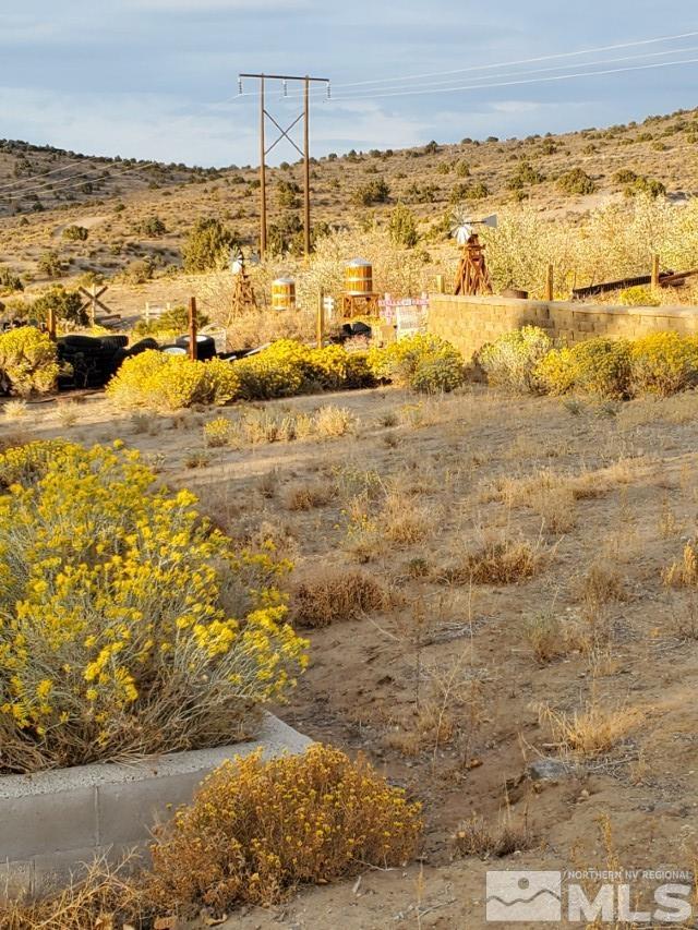 6230 Pursia Road Carson City, NV 89701 - Photo 19 of 40 Photo 19
