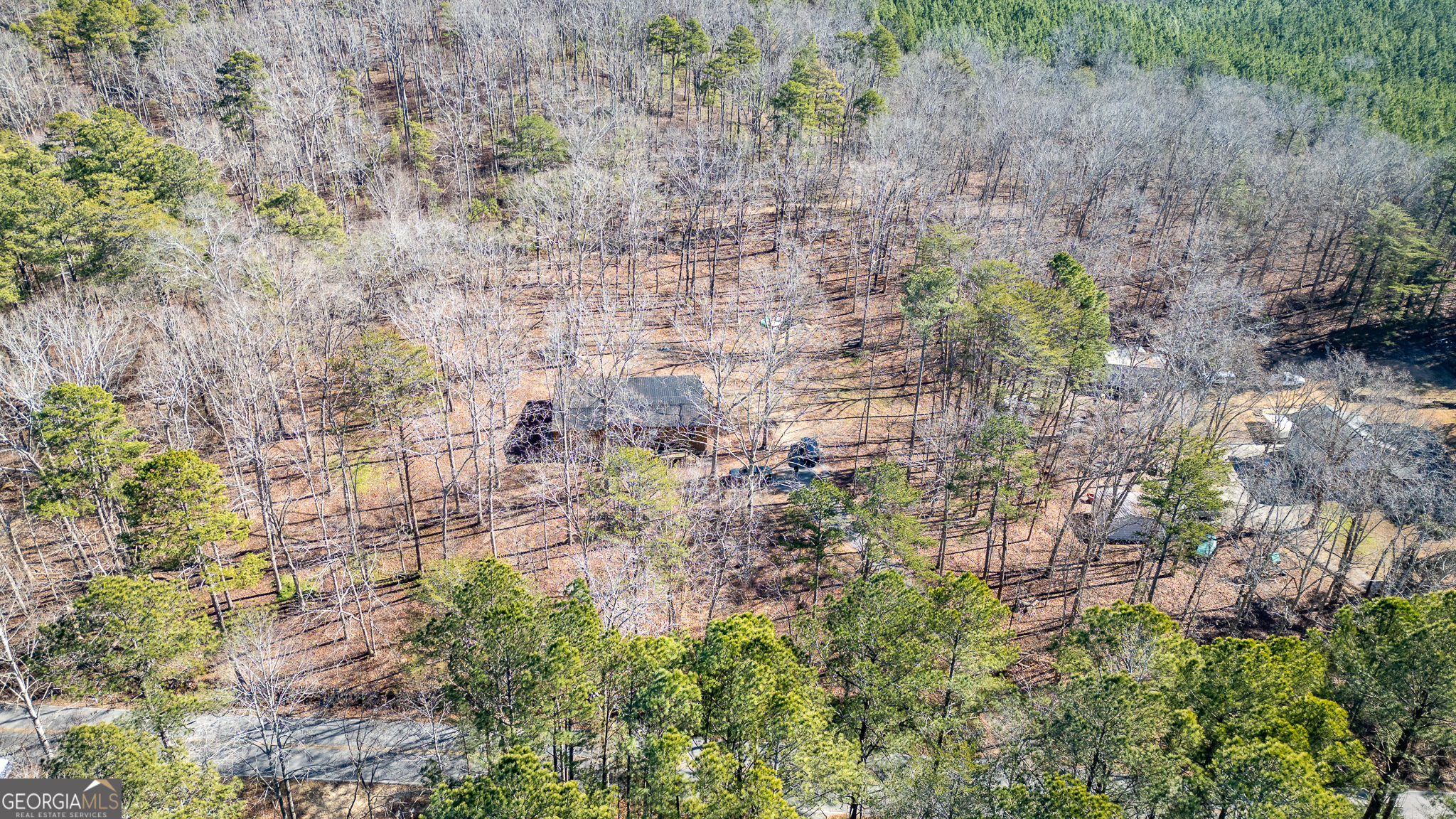 1745 North Dick Creek Road LaFayette, GA 30728 - Photo 28 of 32