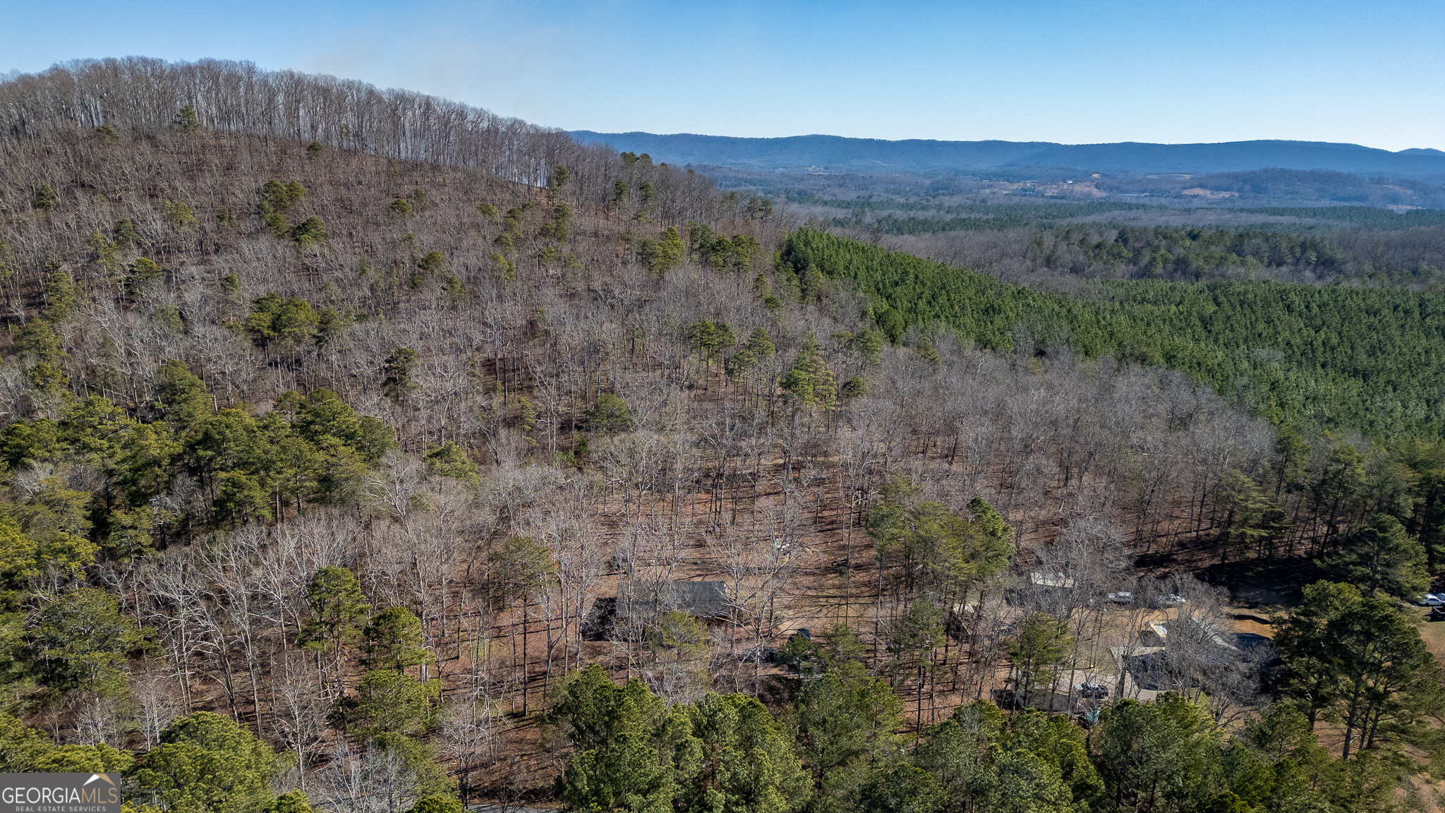 1745 North Dick Creek Road LaFayette, GA 30728 - Photo 29 of 32