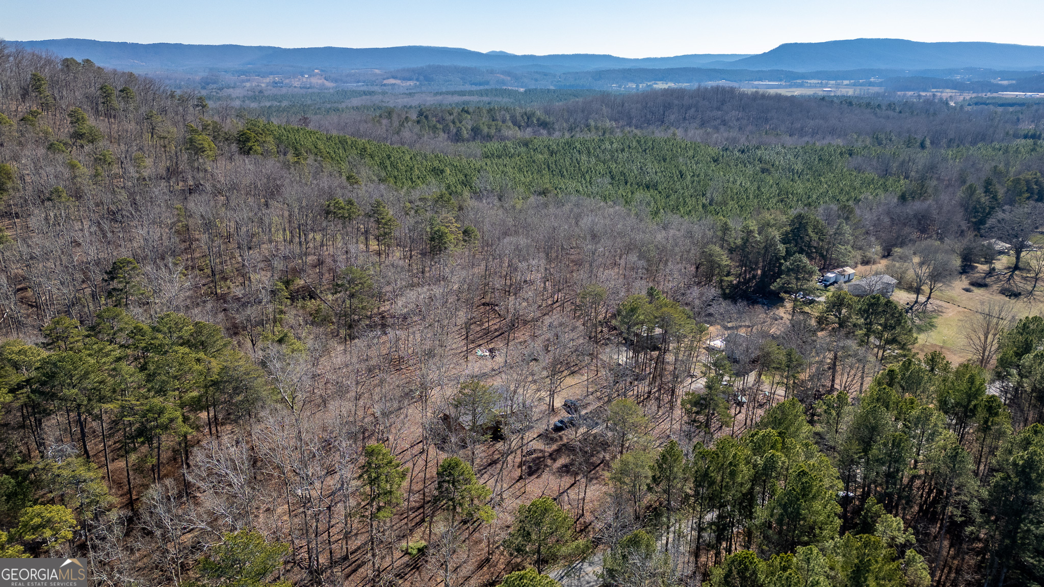 1745 North Dick Creek Road LaFayette, GA 30728 - Photo 30 of 32