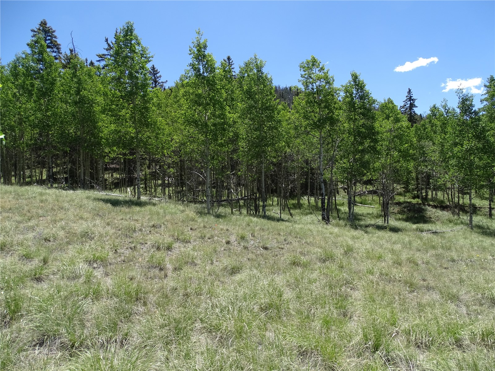 782 Bow String Road Como, CO 80456 - Photo 16 of 22