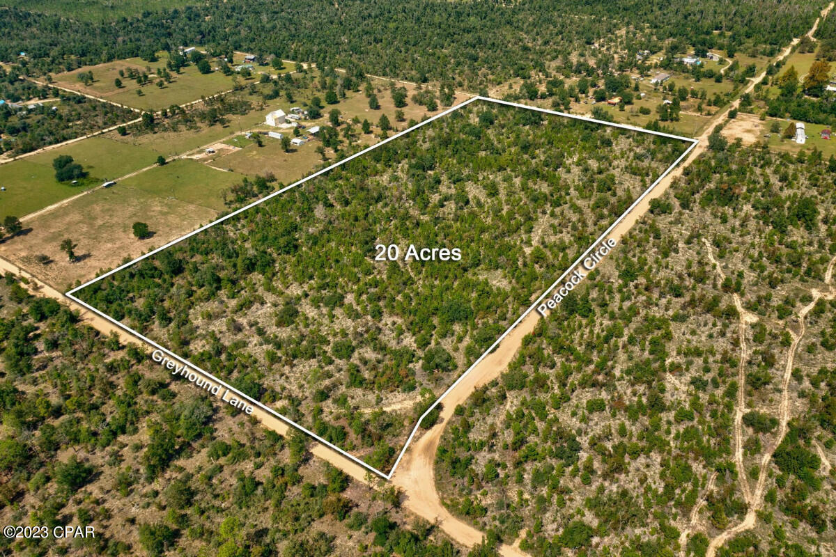 0 Greyhound Lane Youngstown, FL 32466 - Photo 2 of 9