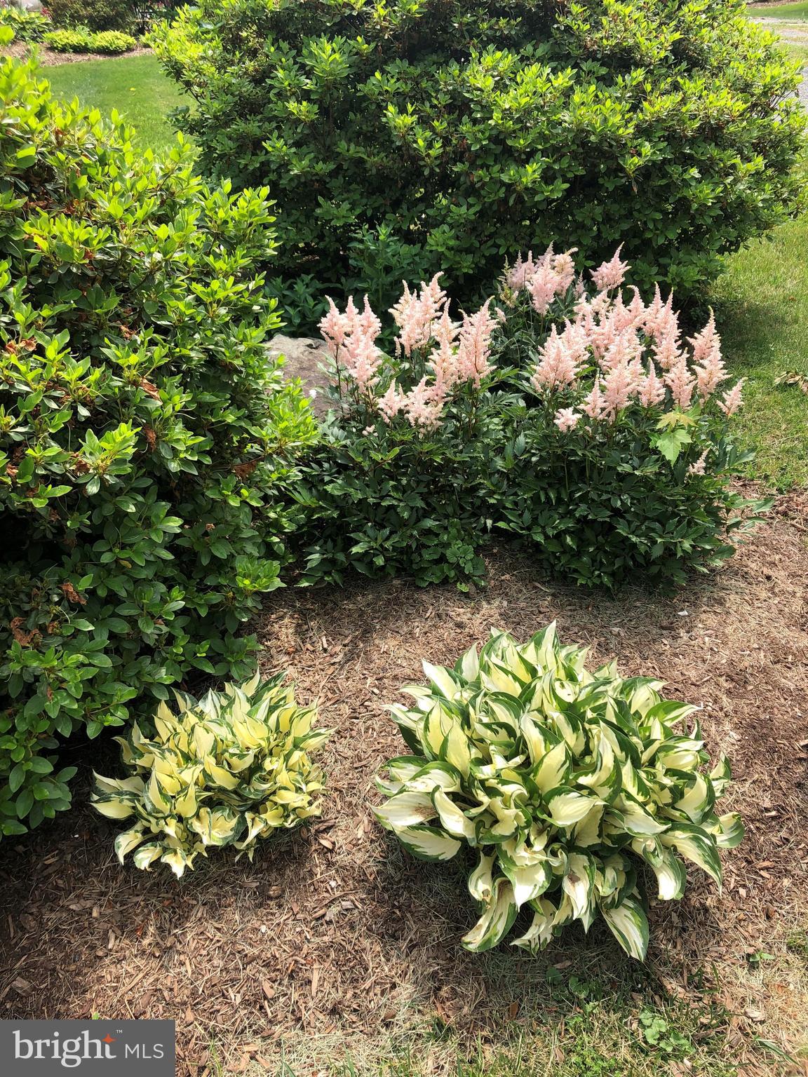 1909 Pot Spring Road Lutherville-Timonium, MD 21093 - Photo 60 of 60 Flowers scattered!