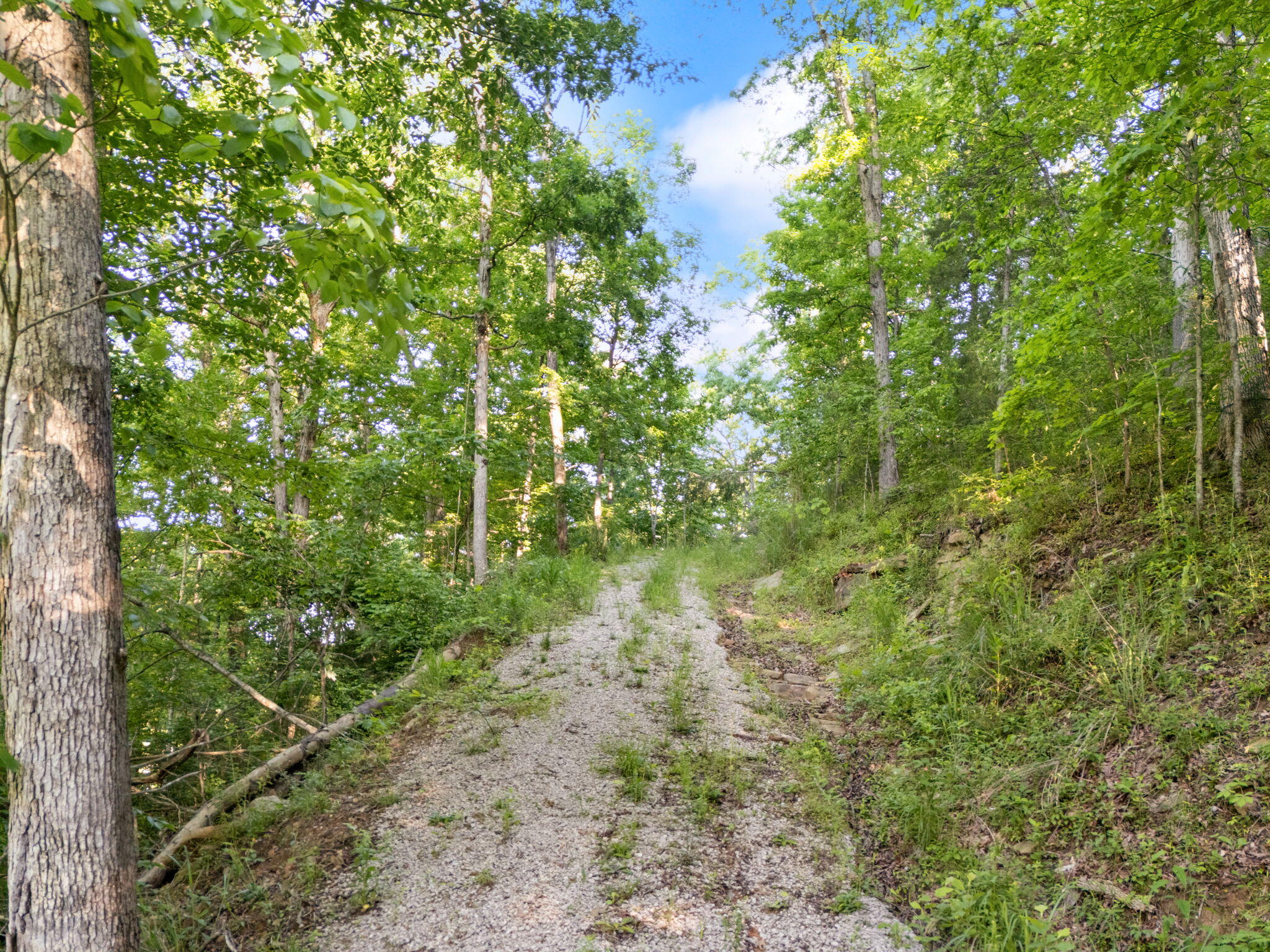 12332 Campton Road Stanton, KY 40380 - Photo 12 of 24 IMG_7639