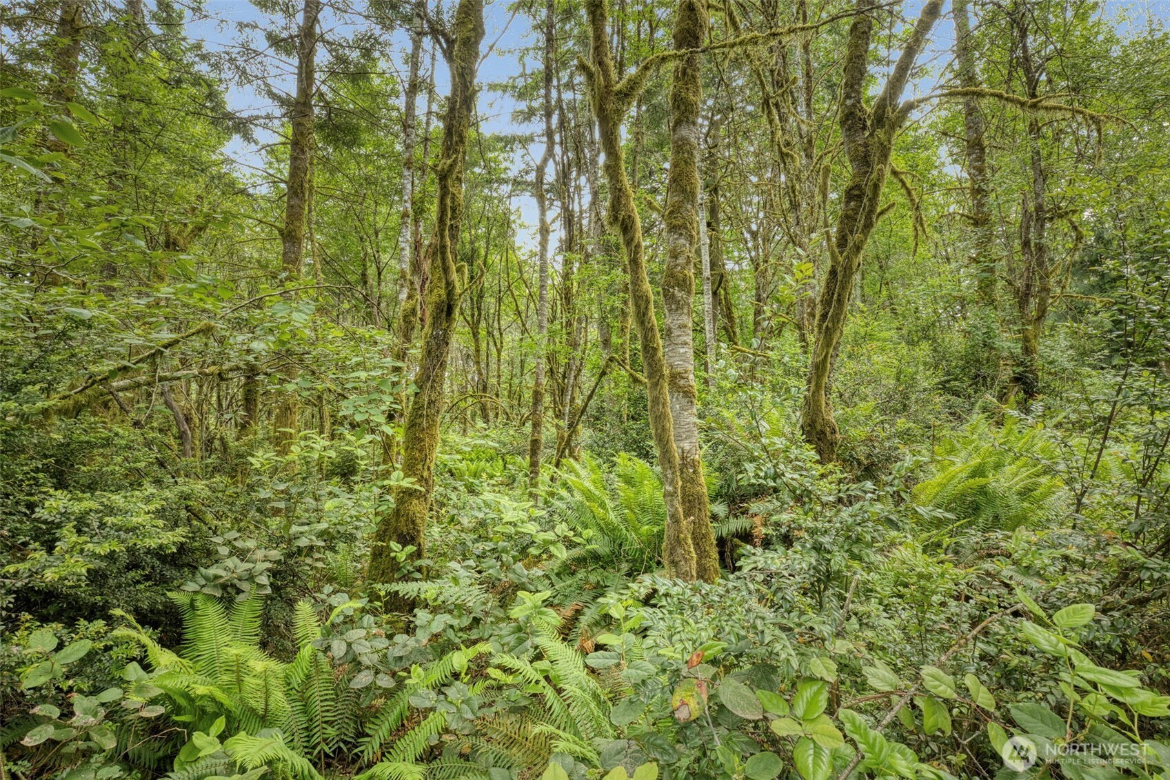 4748 Southwest Hunter Road Port Orchard, WA 98367 - Photo 4 of 21 Gallery Image 4