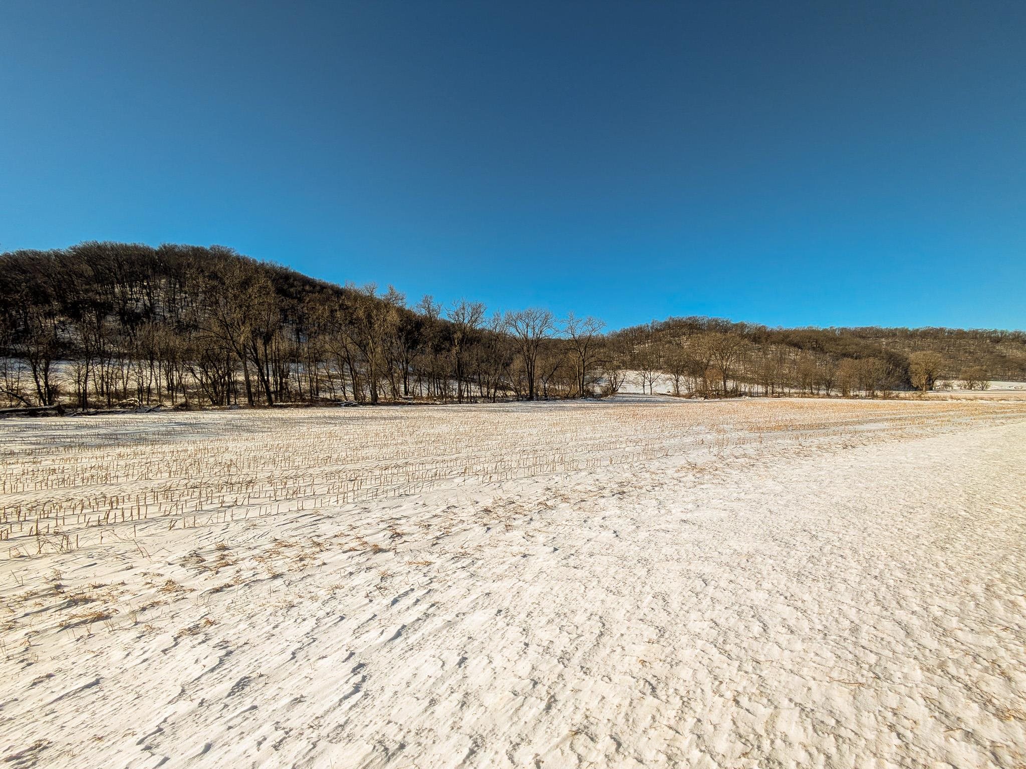 12.5-acres County Road South Boscobel, WI 53805 - Photo 8 of 9