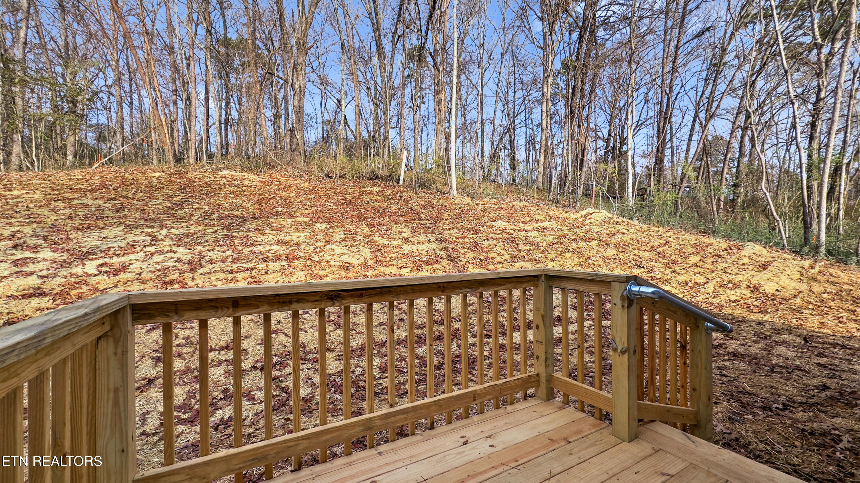 103 Baker Road Rockwood, TN 37854 - Photo 24 of 24 IMG_1606