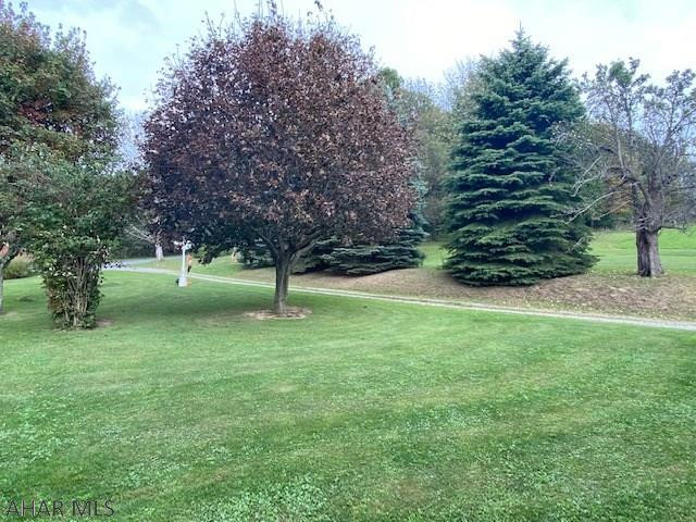 449 Mountain Road Lilly, PA 15938 - Photo 55 of 68 Gallery Image 55