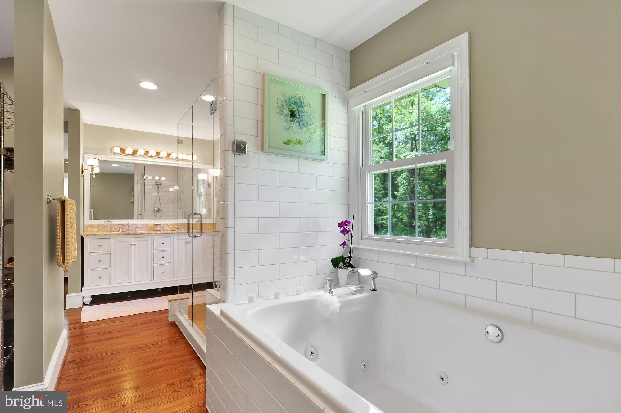 187 Middle Road Elkton, MD 21921 - Photo 20 of 36 Master Bath-MAIN LEVEL-Soaking tub