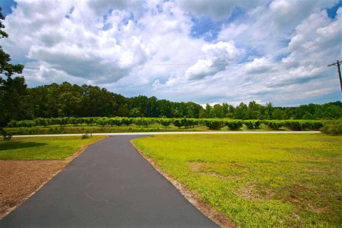 216 Dynamite Road Tamassee, SC 29686 - Photo 2 of 36 Gallery Image 2