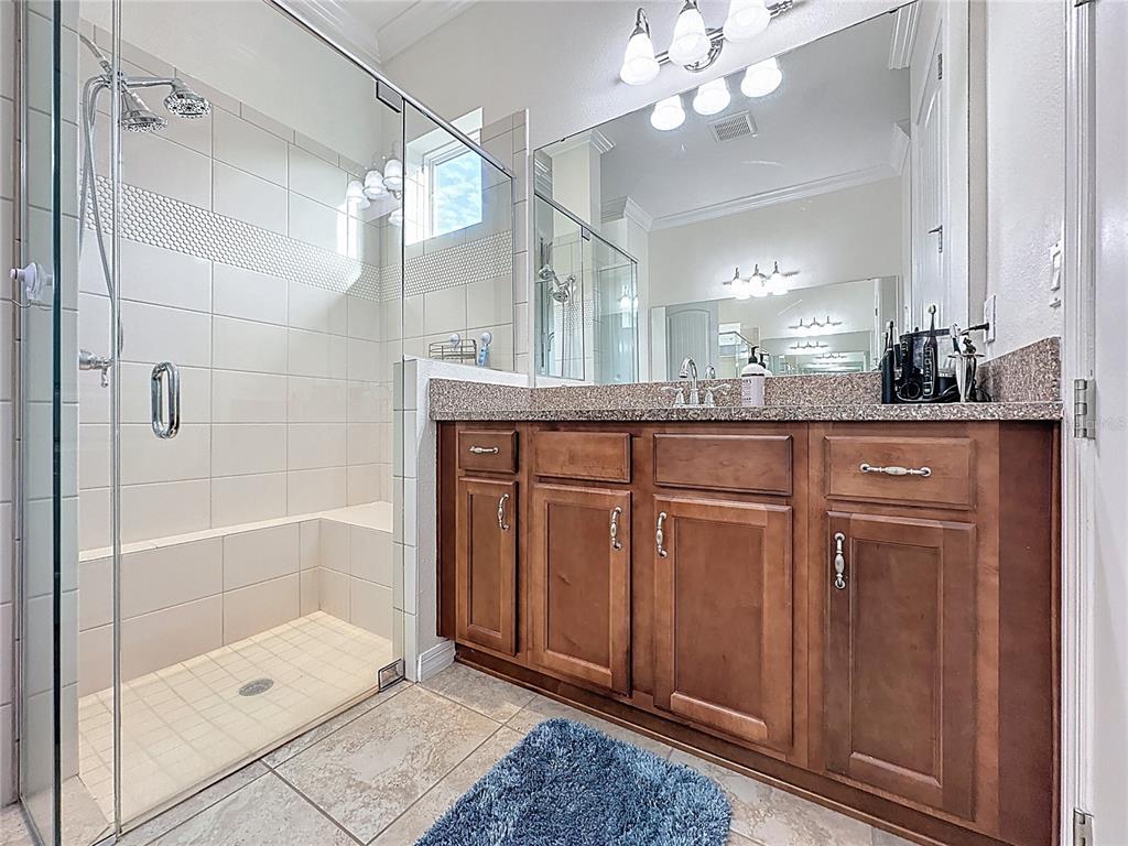 168 Silver Maple Road Groveland, FL 34736 - Photo 39 of 71 a bathroom with a granite countertop sink a mirror and shower
