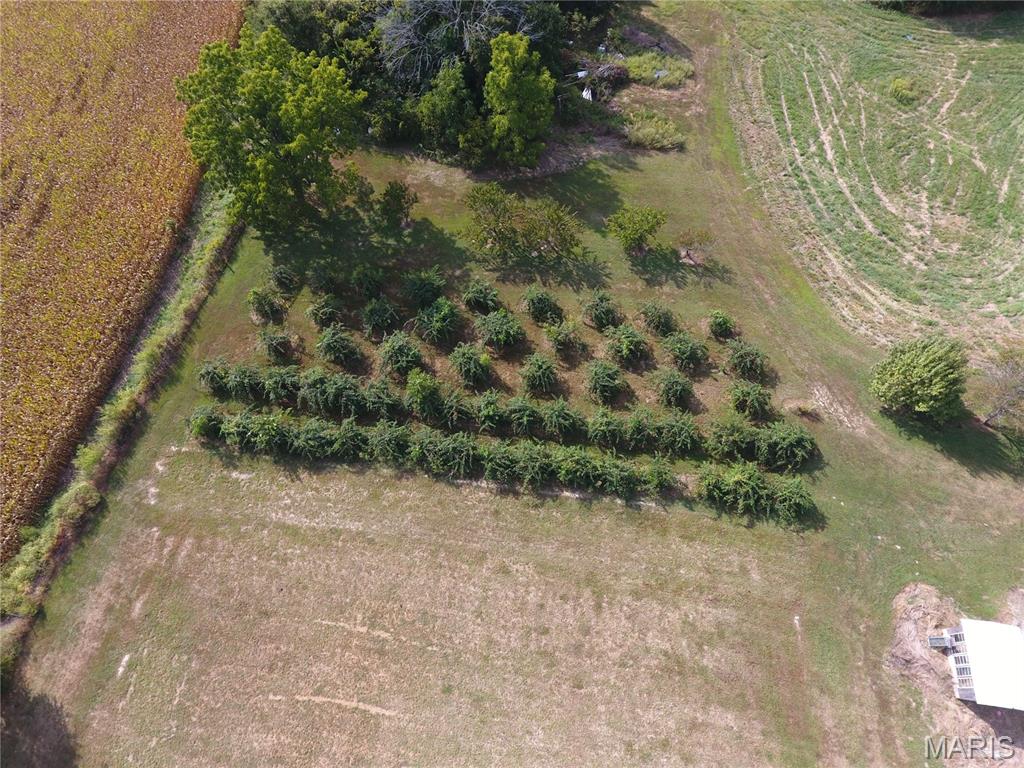 21512 Richey Hollow Road Jerseyville, IL 62052 - Photo 16 of 50 Gallery Image 16