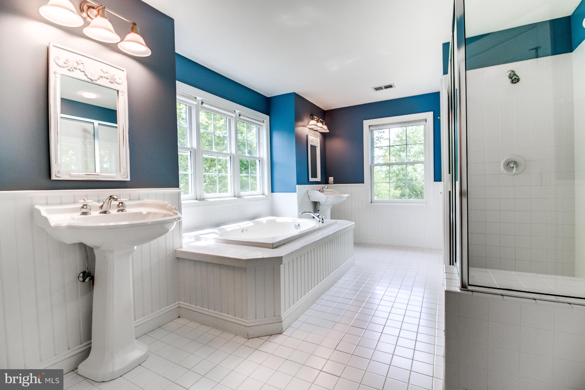 206 Fern Ridge Landenberg, PA 19350 - Photo 18 of 34 a bathroom with a sink a mirror and a bathtub