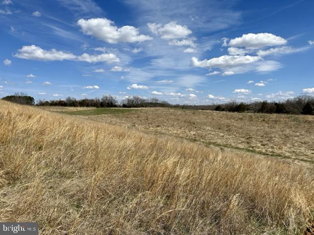 Lot 3 Scotts Mill Road Culpeper, VA 22701 - Photo 2 of 8