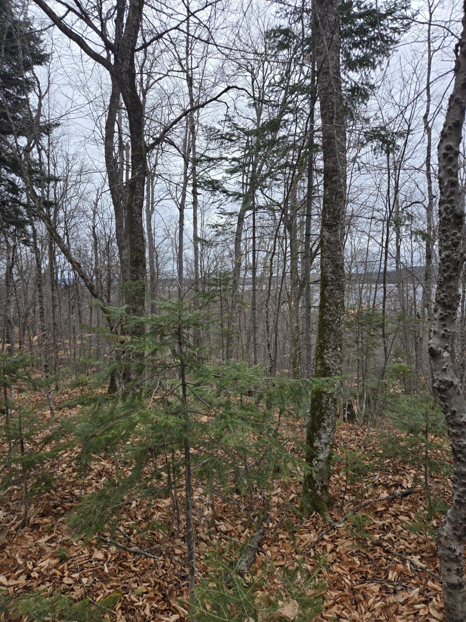 469 East Cottage Road Portage, ME 04768 - Photo 32 of 63 20241120_104452