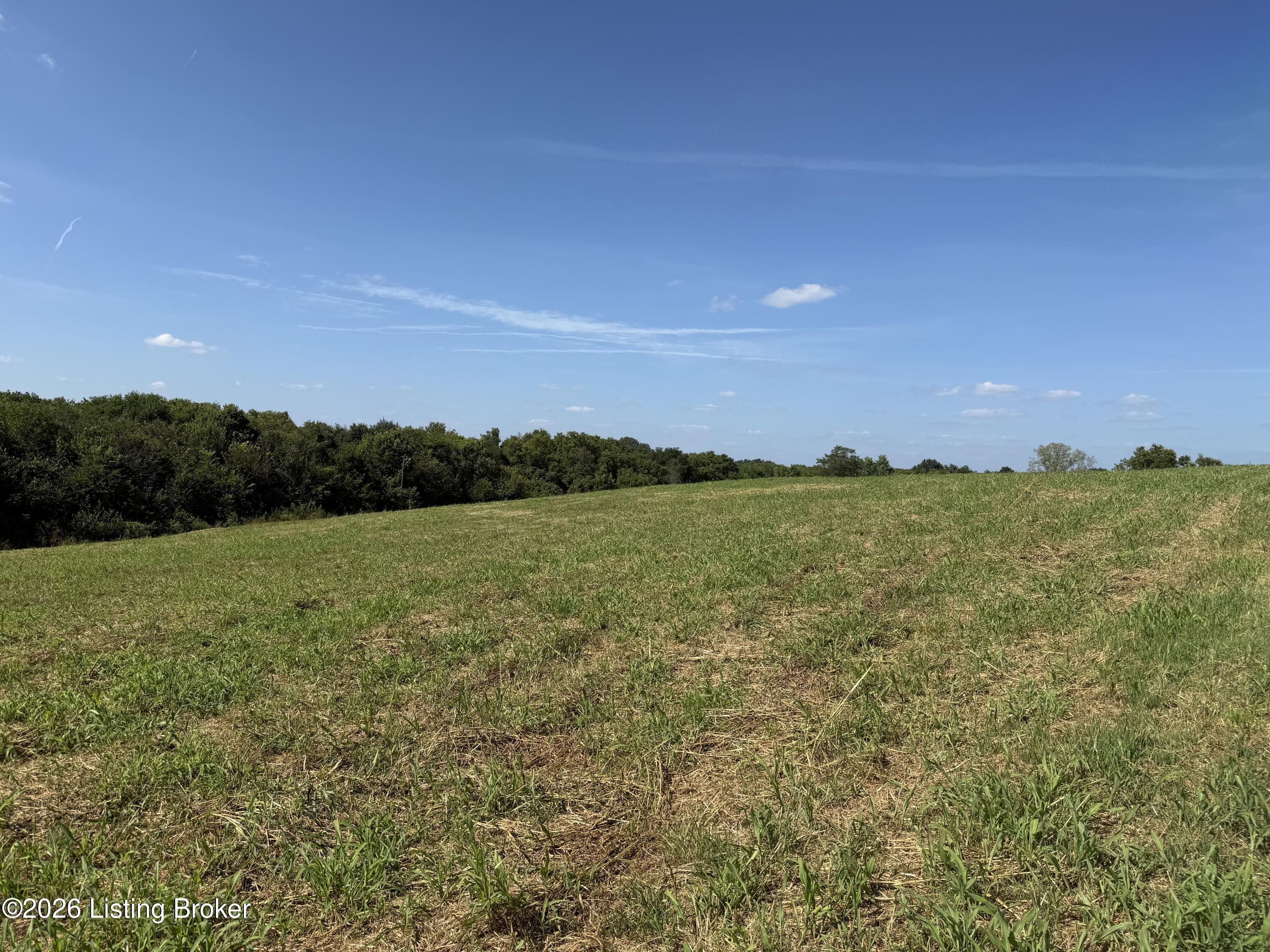 6050 Plum Run Road Bloomfield, KY 40008 - Photo 1 of 6 Plum Run 1