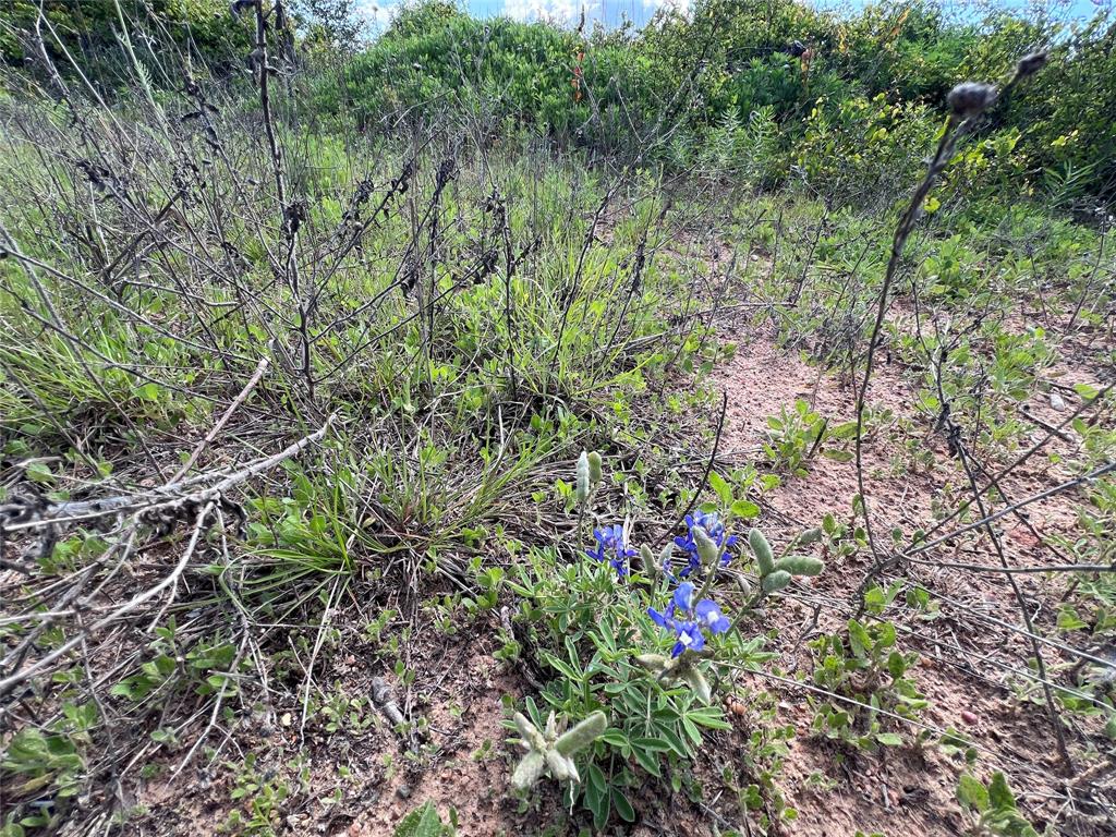 Tbd Lot 1 Tbd Trail Clyde, TX 79510 - Photo 12 of 12