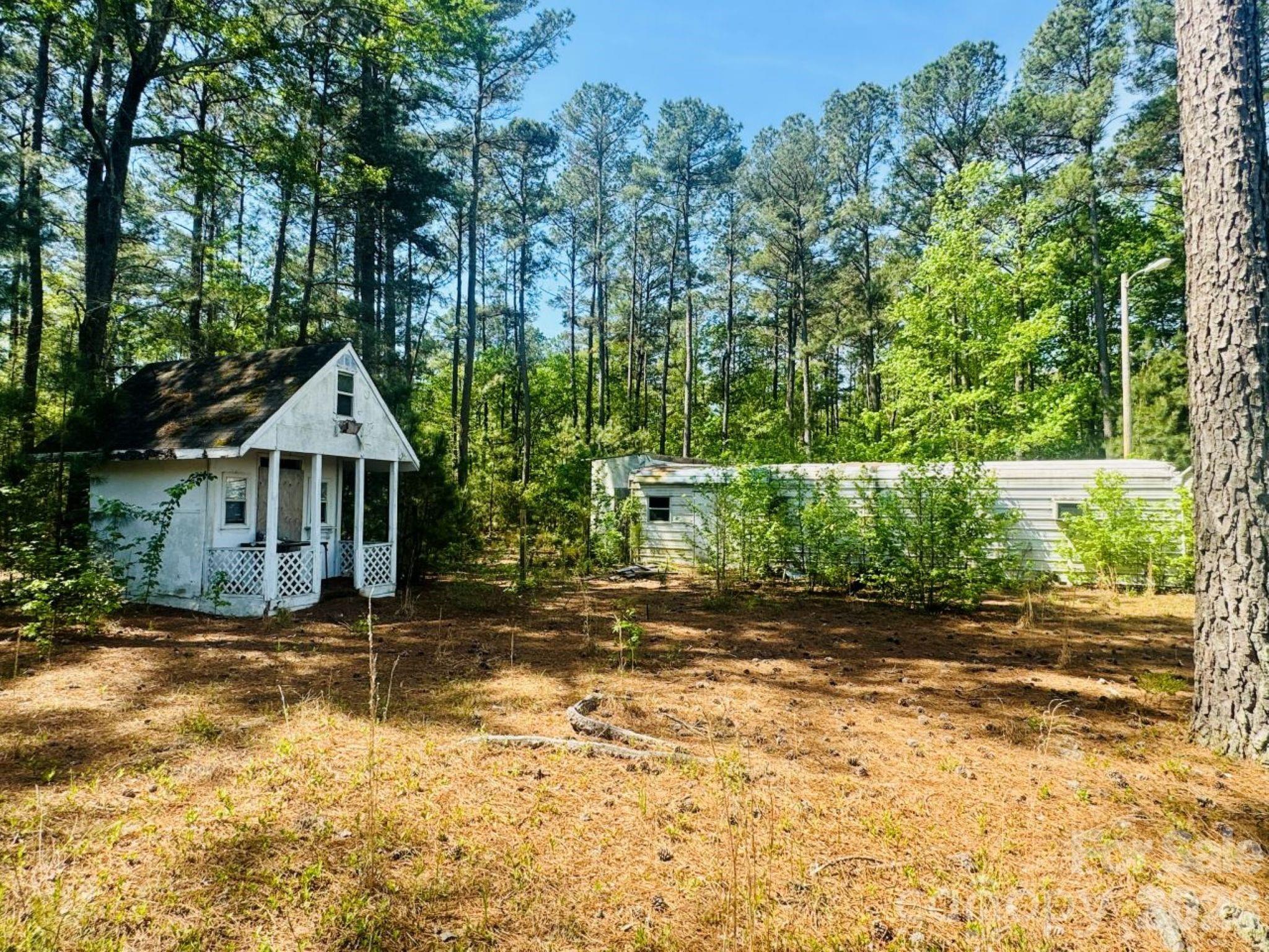 5326 Judson Road Clio, SC 29525 - Photo 8 of 29