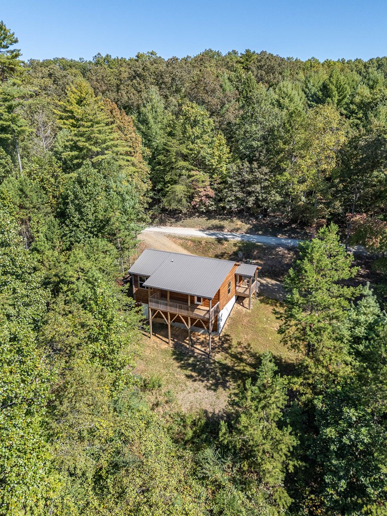 180 Hawthorne Lane Murphy, NC 28906 - Photo 2 of 36