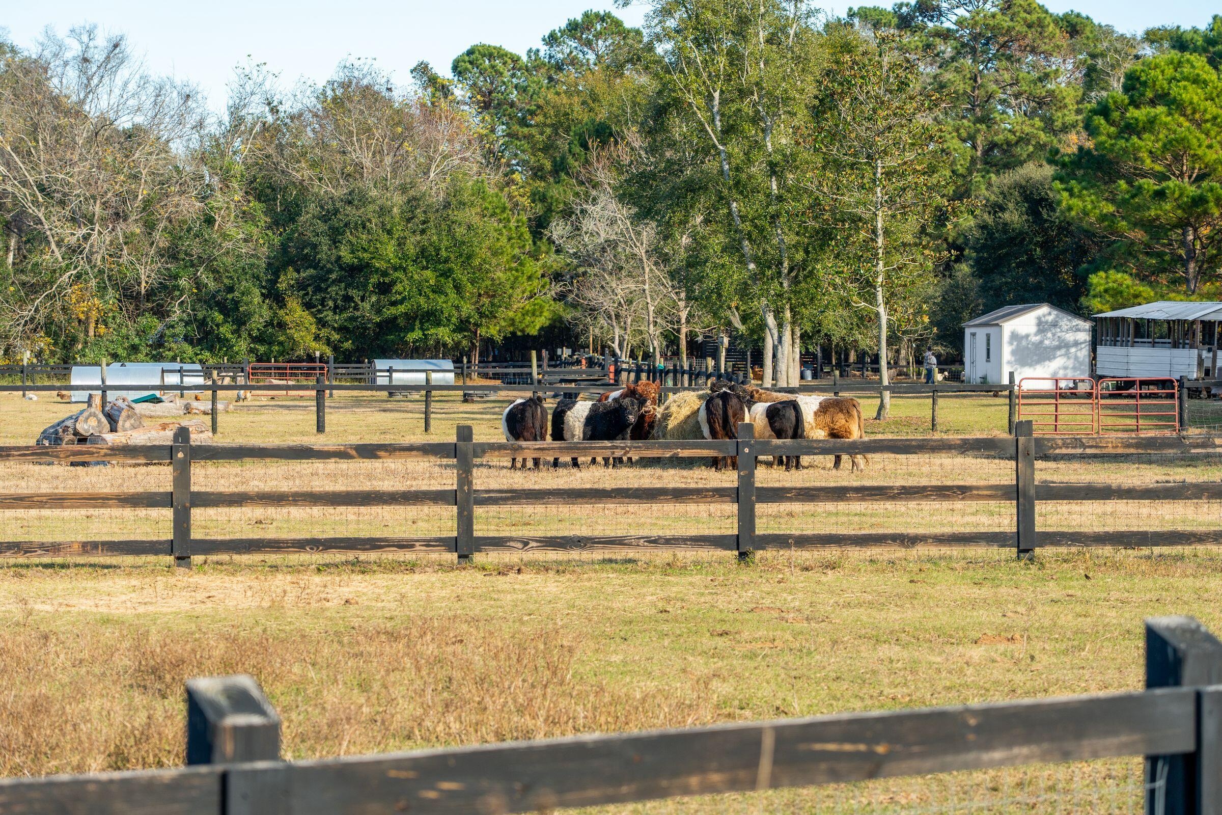 2186 Boatwright Road Johns Island, SC 29455 - Photo 94 of 102 a24