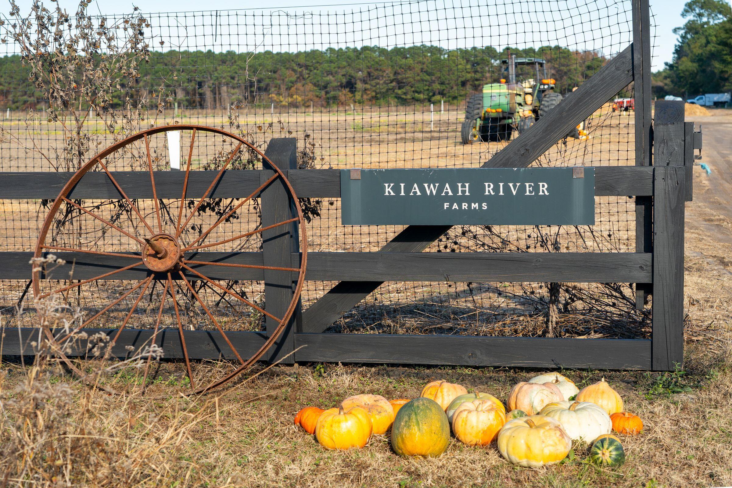 2186 Boatwright Road Johns Island, SC 29455 - Photo 95 of 102 a25