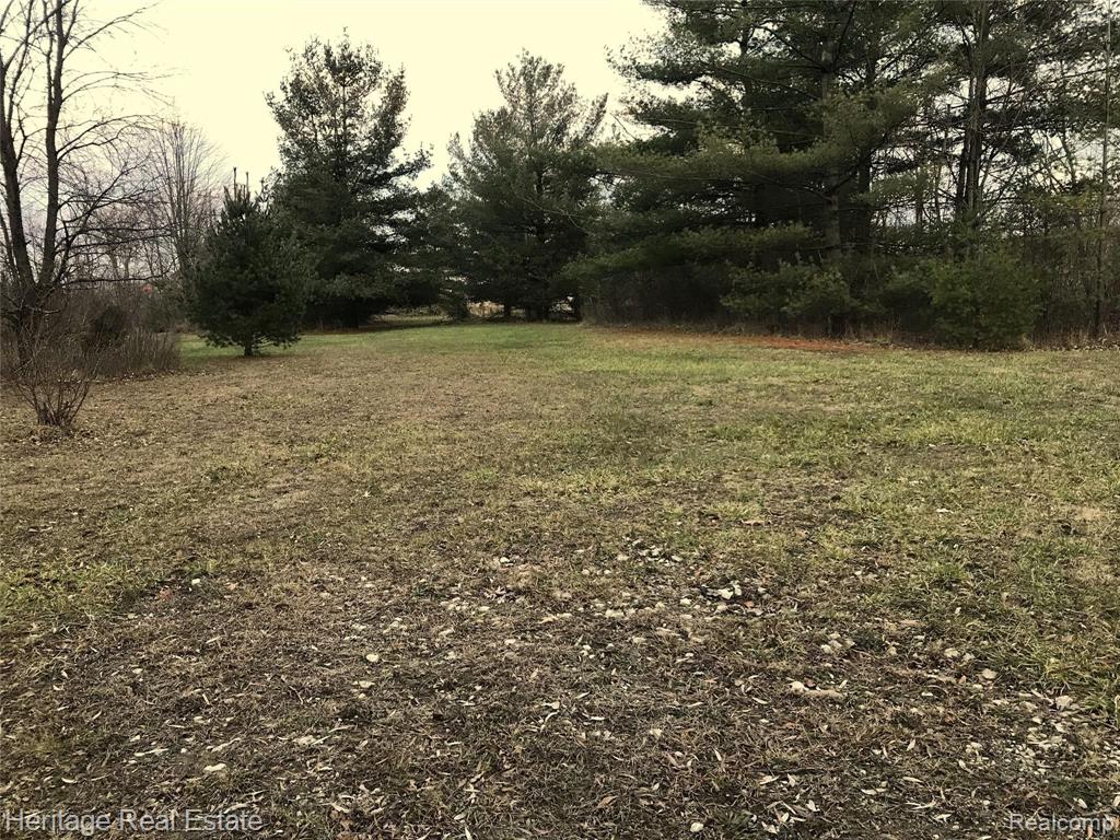 Vacant Baldwin Road Lake Orion, MI 48360 - Photo 8 of 11 Gallery Image 8