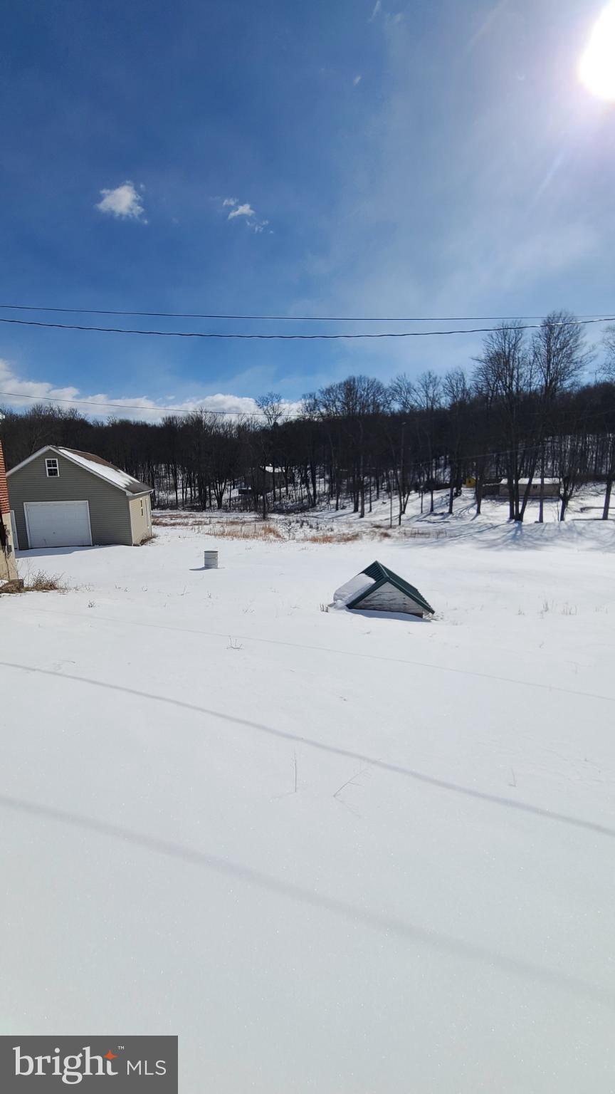 6821 Spring Road Shermans Dale, PA 17090 - Photo 4 of 11 Detached 1 car garage behind the home.