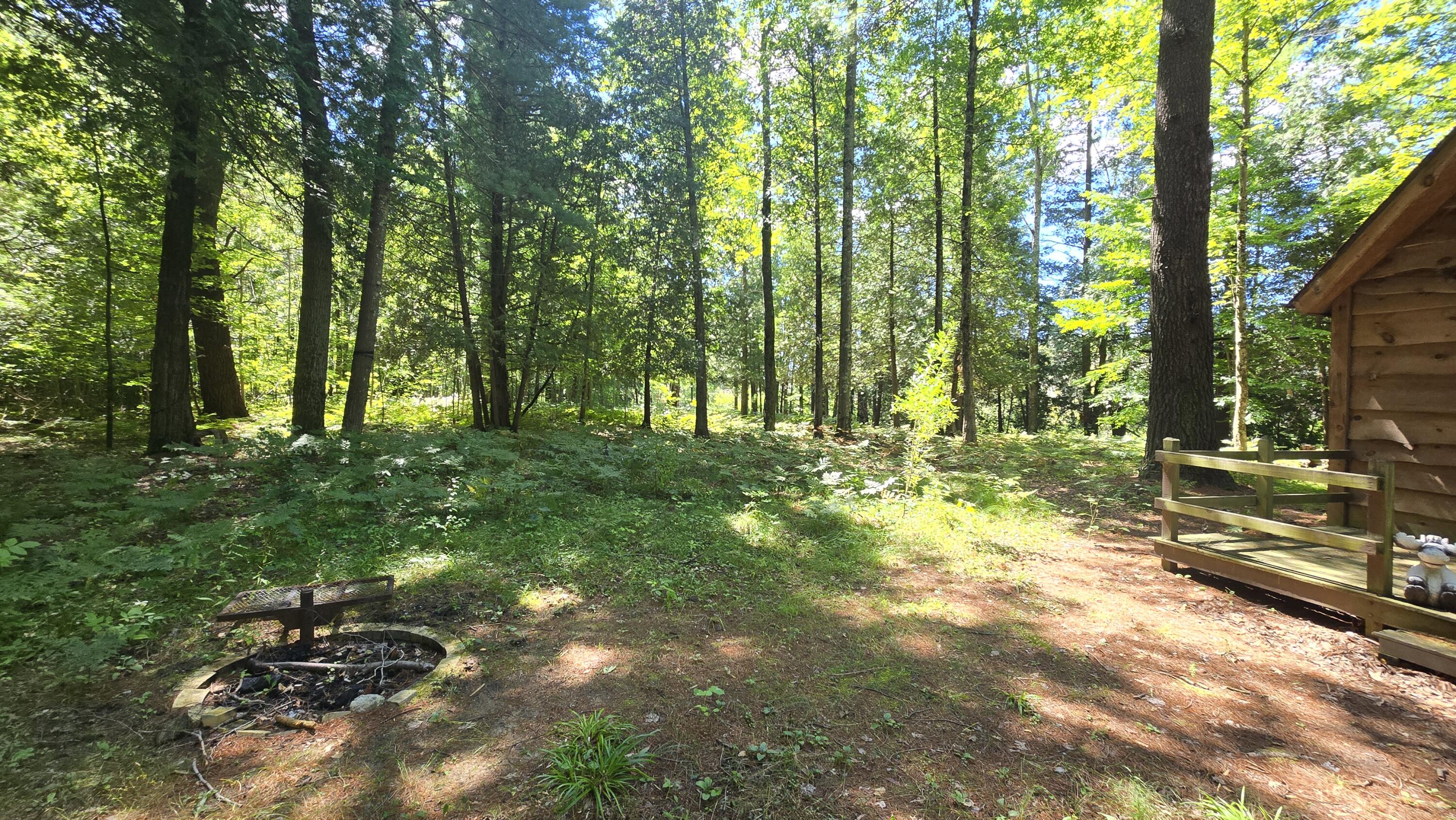 5765 Tyndall Road Branch, MI 49402 - Photo 8 of 20 20250820_130304