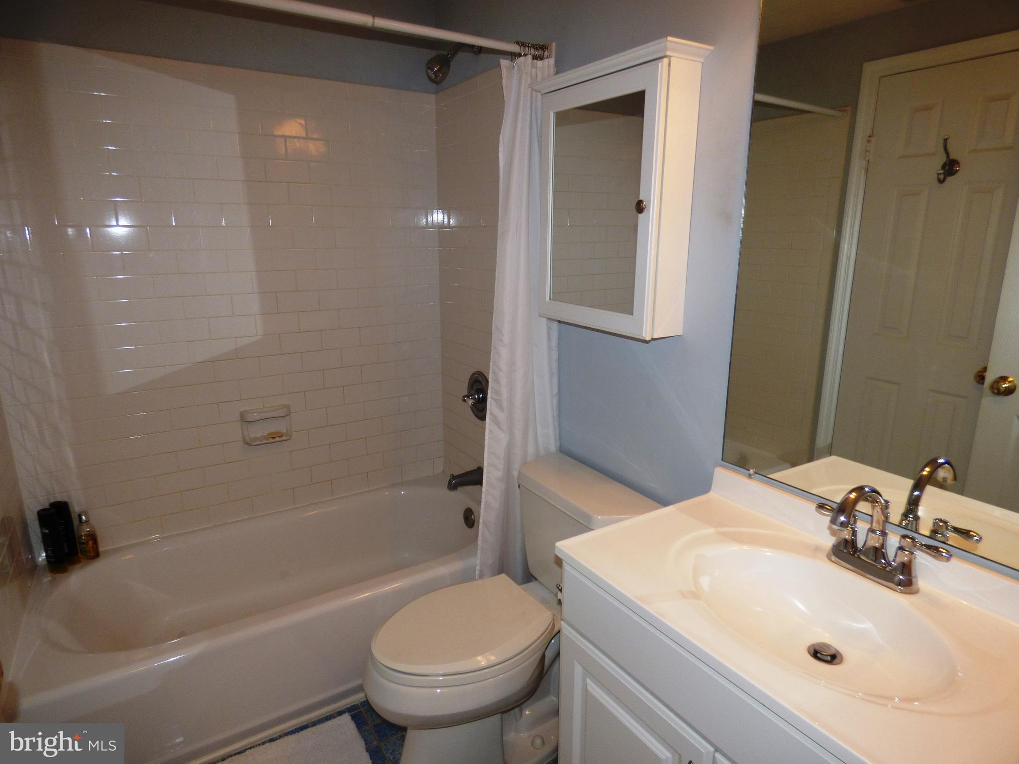 1624 Fieldthorn Drive Reston, VA 20194 - Photo 9 of 19 Bath (Master)