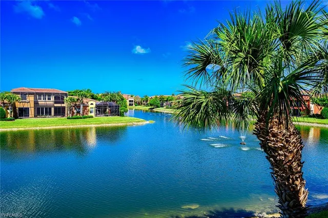 a view of a swimming pool with a yard and palm trees