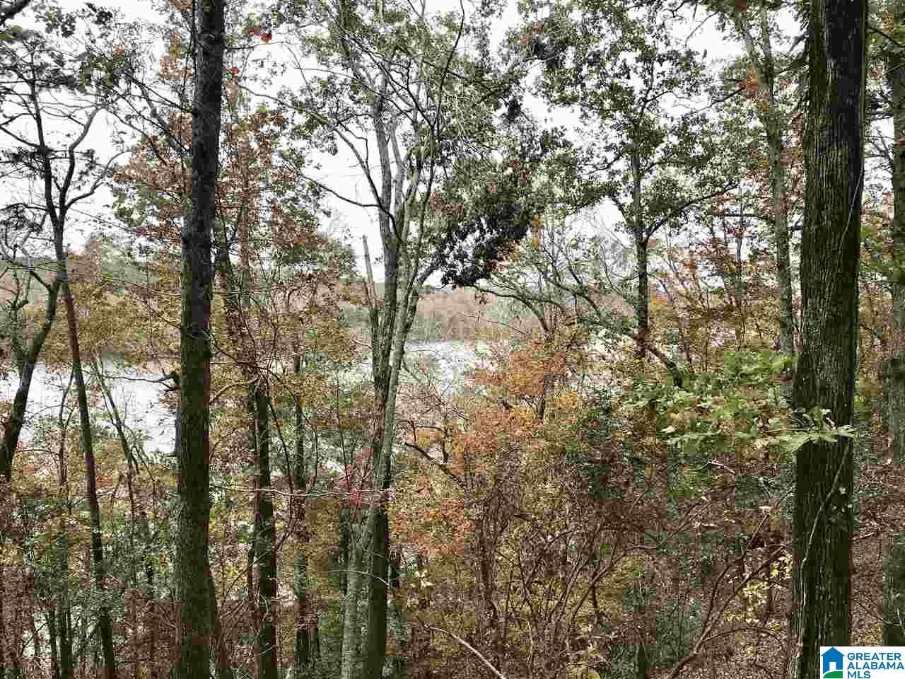 0 Sleepy Hollow Road, Unit 75 Rockford, AL 35136 - Photo 25 of 33
