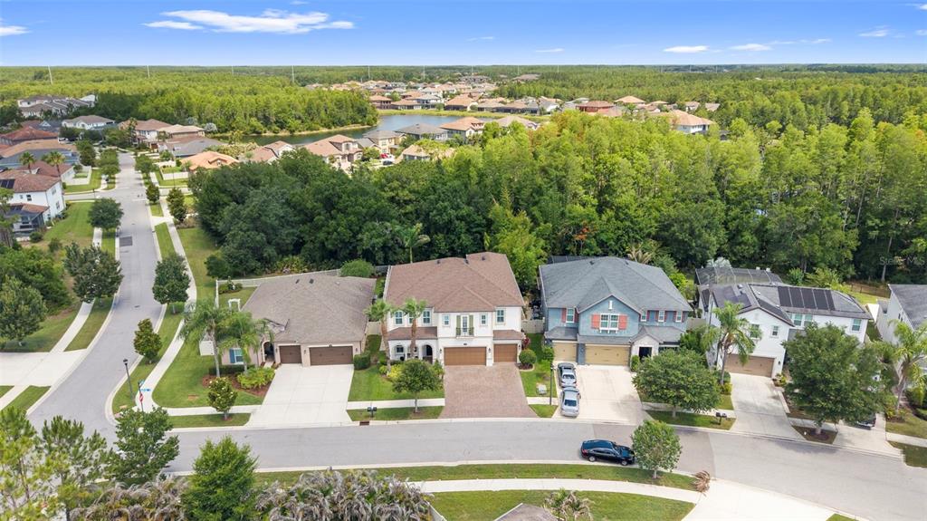 3515 Lands End Way Lutz, FL 33548 - Photo 95 of 100