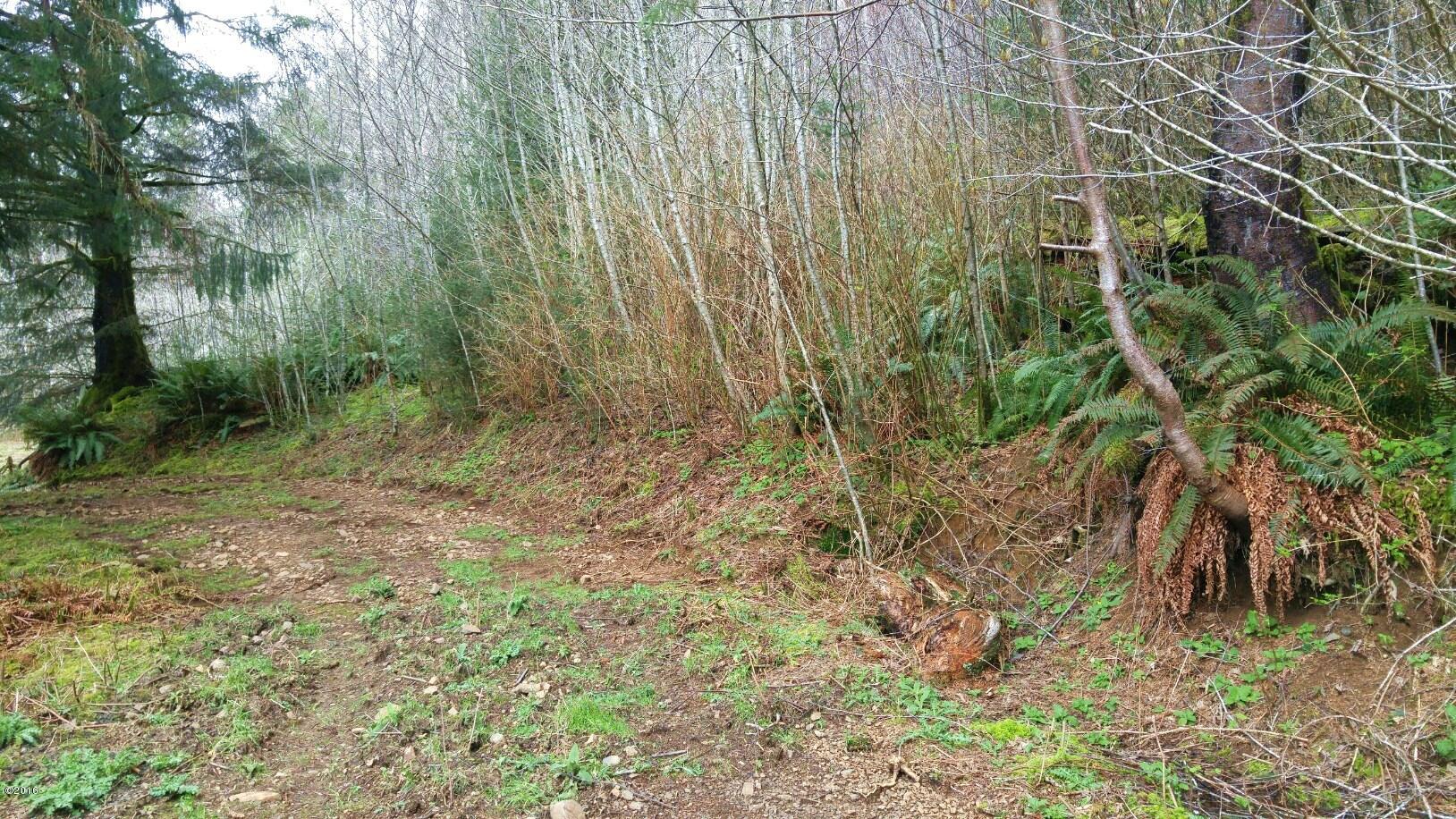 Tl202 Little Nestucca River Road Hebo, OR 97122 - Photo 2 of 10 1