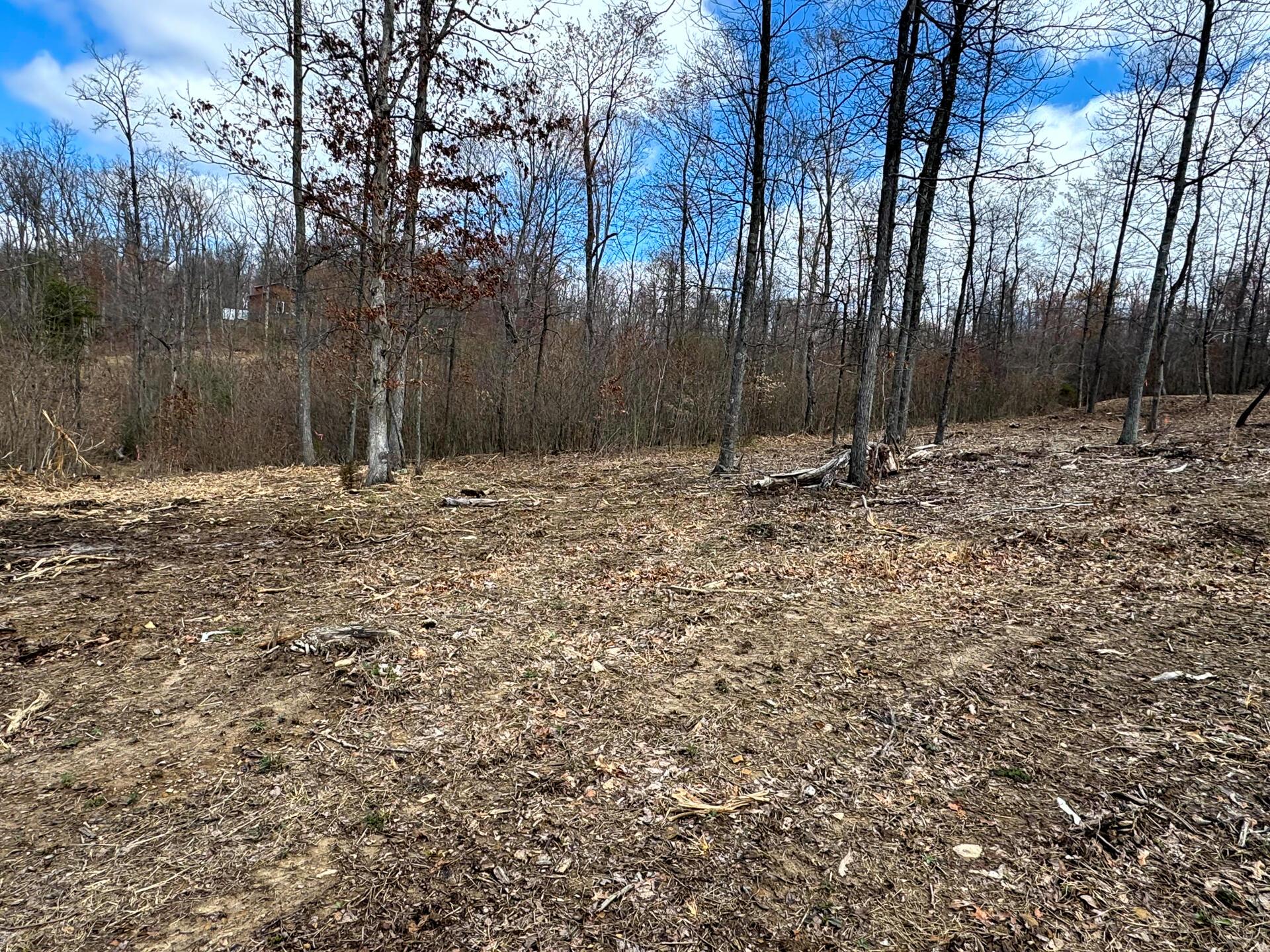 114 Golf Course Road, Unit TRACT 11 SKYLINE ACRES) Waverly, OH 45690 - Photo 18 of 37 CT-18