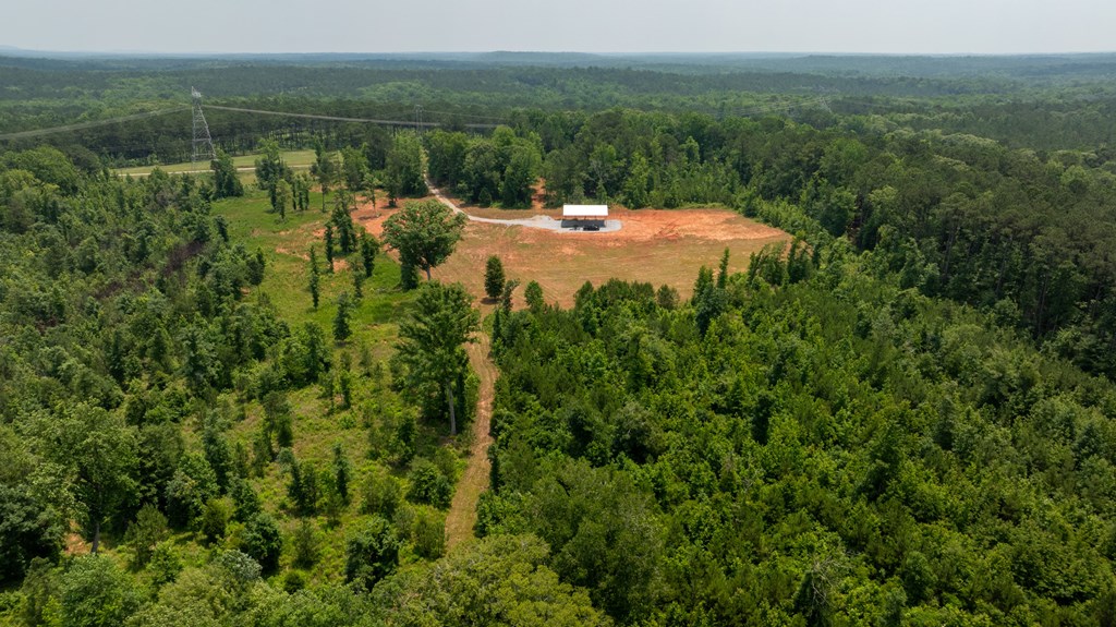 0 Macedonia Church Road Hamilton, GA 31811 - Photo 23 of 44 Gallery Image 23