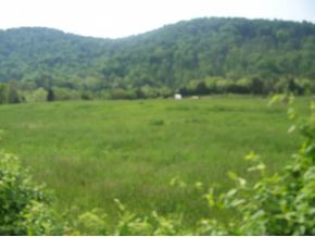 0 Shephards Chapel Road, Unit TR1 Rogersville, TN 37857 - Photo 11 of 18 Photo 11