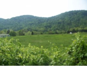 0 Shephards Chapel Road, Unit TR1 Rogersville, TN 37857 - Photo 12 of 18 Photo 12