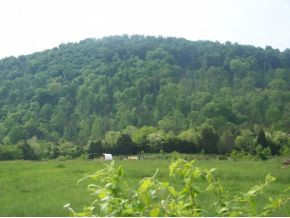 0 Shephards Chapel Road, Unit TR1 Rogersville, TN 37857 - Photo 13 of 18 Photo 13