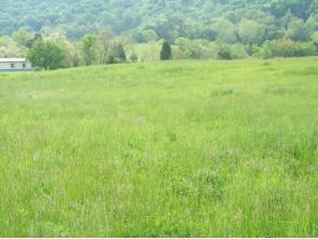 0 Shephards Chapel Road, Unit TR1 Rogersville, TN 37857 - Photo 14 of 18 Photo 14