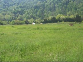0 Shephards Chapel Road, Unit TR1 Rogersville, TN 37857 - Photo 15 of 18 Photo 15