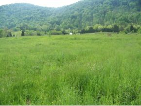 0 Shephards Chapel Road, Unit TR1 Rogersville, TN 37857 - Photo 16 of 18 Photo 16
