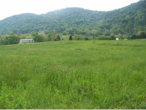 0 Shephards Chapel Road, Unit TR1 Rogersville, TN 37857 - Photo 17 of 18 Photo 17