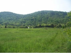 0 Shephards Chapel Road, Unit TR1 Rogersville, TN 37857 - Photo 18 of 18 Photo 18