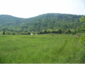 0 Shephards Chapel Road, Unit TR1 Rogersville, TN 37857 - Photo 2 of 18 Photo 2
